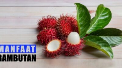 Tak Disangka, Ini Lima Manfaat Buah Rambutan Bagi Kesehatan Tubuh